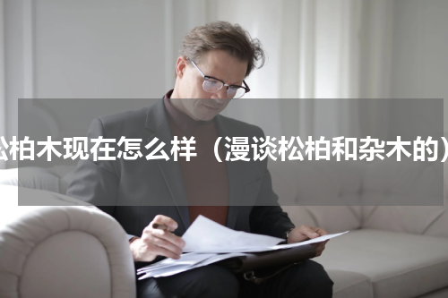 松柏木现在怎么样（漫谈松柏和杂木的）