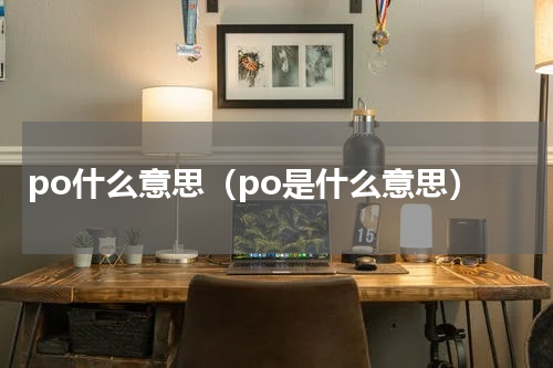po什么意思（po是什么意思）
