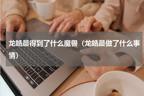 龙皓晨得到了什么魔兽（龙皓晨做了什么事情）