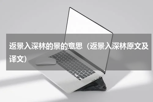 返景入深林的景的意思（返景入深林原文及译文）