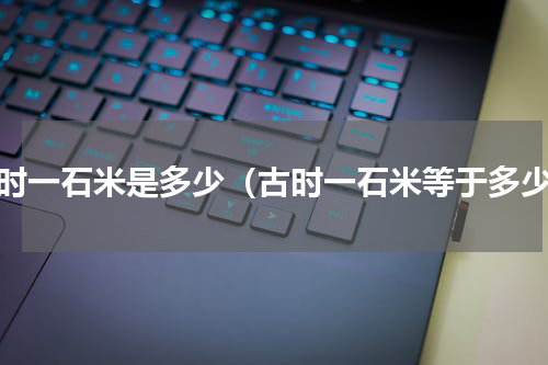 古时一石米是多少（古时一石米等于多少）