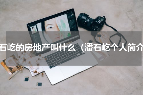 潘石屹的房地产叫什么（潘石屹个人简介）