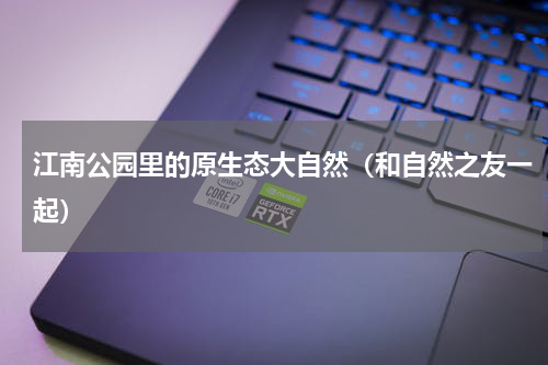 江南公园里的原生态大自然（和自然之友一起）