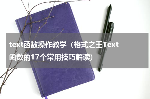 text函数操作教学（格式之王Text函数的17个常用技巧解读）