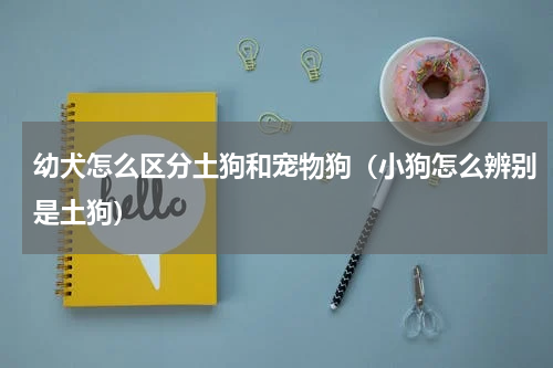 幼犬怎么区分土狗和宠物狗（小狗怎么辨别是土狗）