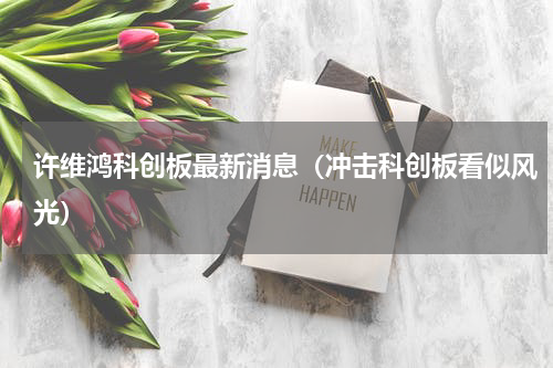 许维鸿科创板最新消息（冲击科创板看似风光）