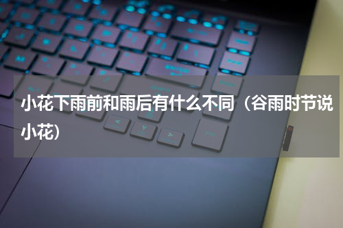 小花下雨前和雨后有什么不同（谷雨时节说小花）