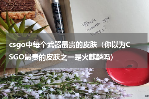 csgo中每个武器最贵的皮肤（你以为CSGO最贵的皮肤之一是火麒麟吗）