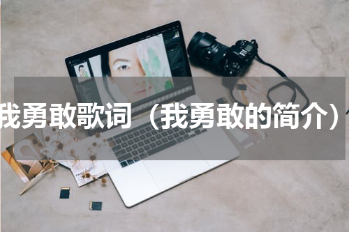 我勇敢歌词（我勇敢的简介）
