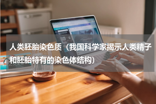 人类胚胎染色质（我国科学家揭示人类精子和胚胎特有的染色体结构）