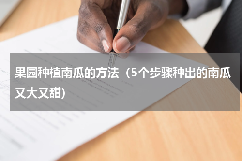 果园种植南瓜的方法（5个步骤种出的南瓜又大又甜）
