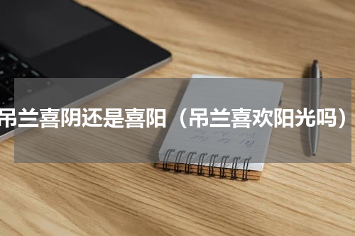 吊兰喜阴还是喜阳（吊兰喜欢阳光吗）