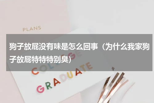 狗子放屁没有味是怎么回事（为什么我家狗子放屁特特特别臭）