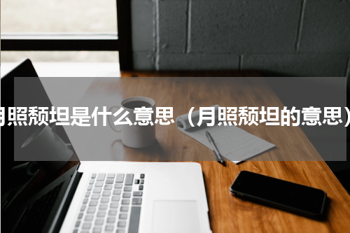 月照颓坦是什么意思（月照颓坦的意思）