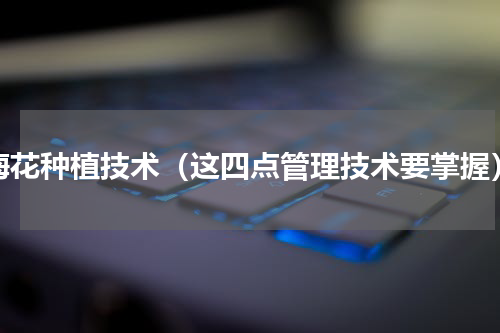 梅花种植技术（这四点管理技术要掌握）