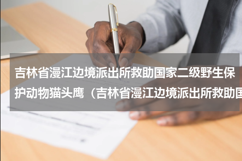 吉林省漫江边境派出所救助国家二级野生保护动物猫头鹰（吉林省漫江边境派出所救助国家二级野生保护动物猫头鹰）