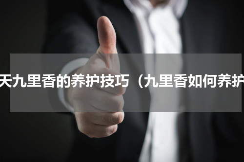 冬天九里香的养护技巧（九里香如何养护）