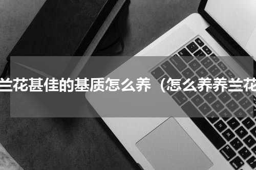 养兰花甚佳的基质怎么养（怎么养养兰花）