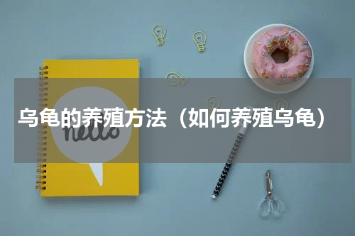 乌龟的养殖方法（如何养殖乌龟）