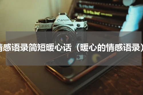 情感语录简短暖心话（暖心的情感语录）