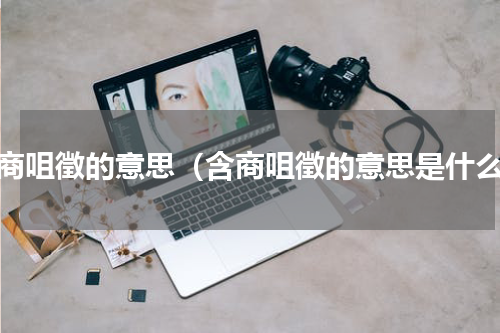 含商咀徵的意思（含商咀徵的意思是什么）