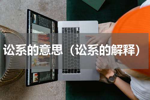 讼系的意思（讼系的解释）