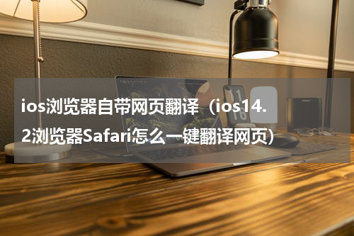 ios浏览器自带网页翻译（ios14.2浏览器Safari怎么一键翻译网页）