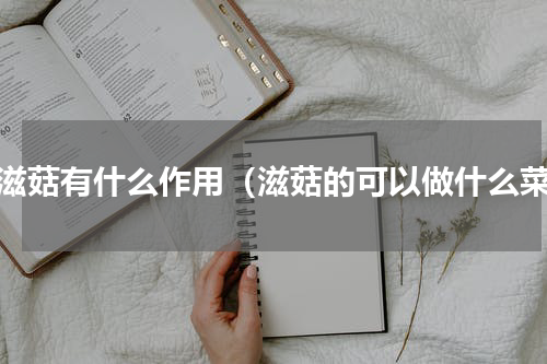 红滋菇有什么作用（滋菇的可以做什么菜）