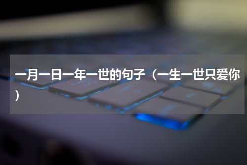 一月一日一年一世的句子（一生一世只爱你）