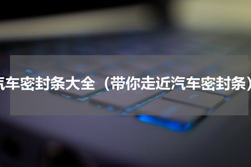 汽车密封条大全（带你走近汽车密封条）