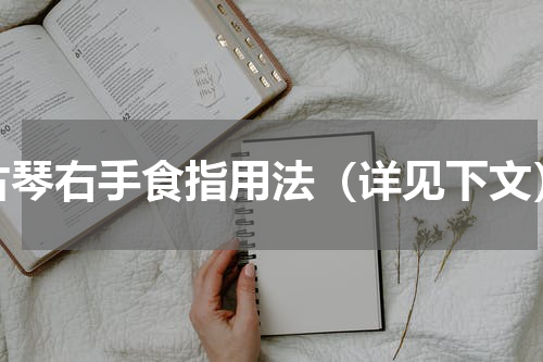 古琴右手食指用法（详见下文）