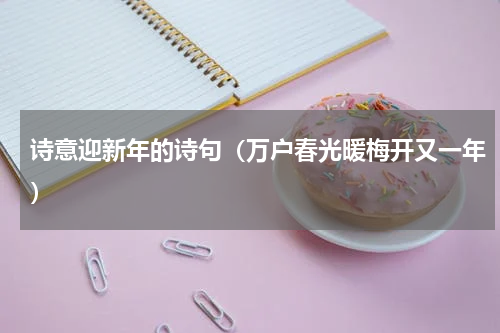 诗意迎新年的诗句（万户春光暖梅开又一年）