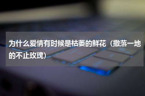 为什么爱情有时候是枯萎的鲜花（撒落一地的不止玫瑰）