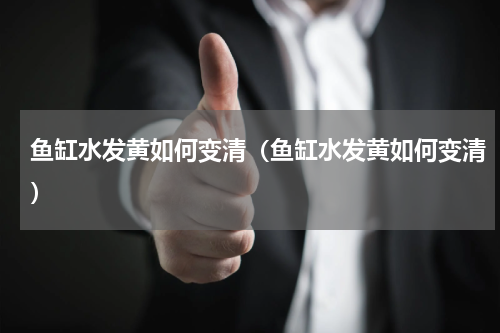 鱼缸水发黄如何变清（鱼缸水发黄如何变清）