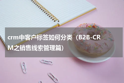 crm中客户标签如何分类（B2B-CRM之销售线索管理篇）