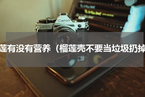 榴莲有没有营养（榴莲壳不要当垃圾扔掉）