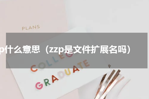 zzp什么意思（zzp是文件扩展名吗）