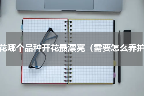 兰花哪个品种开花最漂亮（需要怎么养护）