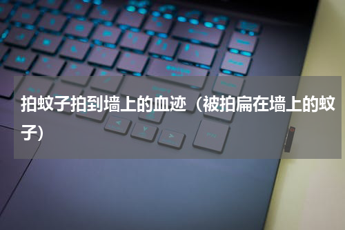 拍蚊子拍到墙上的血迹（被拍扁在墙上的蚊子）