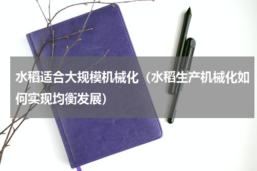 水稻适合大规模机械化（水稻生产机械化如何实现均衡发展）
