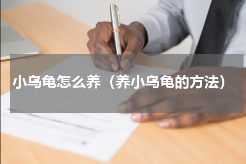 小乌龟怎么养（养小乌龟的方法）