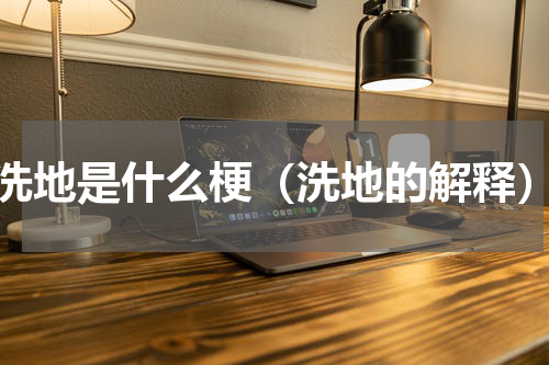 洗地是什么梗（洗地的解释）
