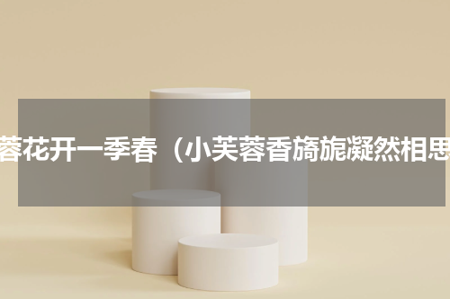 芙蓉花开一季春（小芙蓉香旖旎凝然相思）