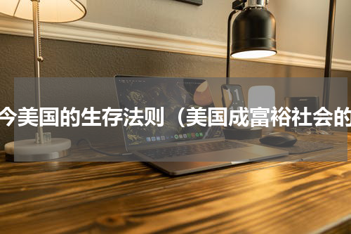 当今美国的生存法则（美国成富裕社会的）