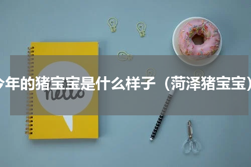 今年的猪宝宝是什么样子（菏泽猪宝宝）