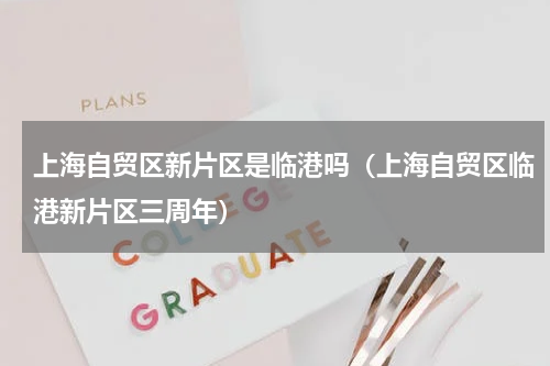 上海自贸区新片区是临港吗（上海自贸区临港新片区三周年）