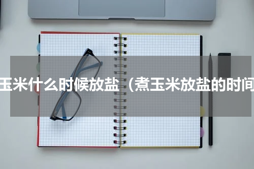 煮玉米什么时候放盐（煮玉米放盐的时间）