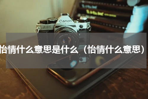 怡情什么意思是什么（怡情什么意思）