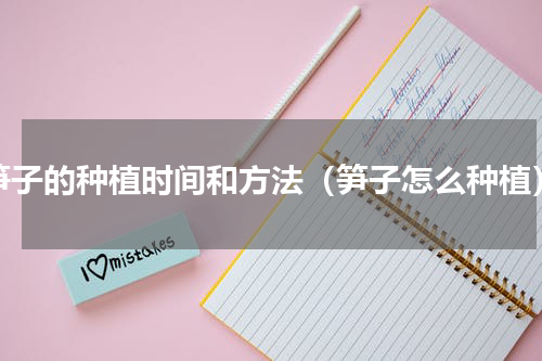笋子的种植时间和方法（笋子怎么种植）