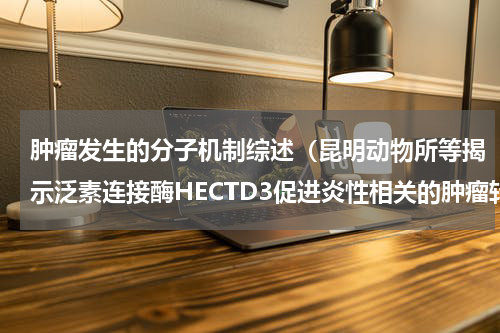 肿瘤发生的分子机制综述（昆明动物所等揭示泛素连接酶HECTD3促进炎性相关的肿瘤转移机制）